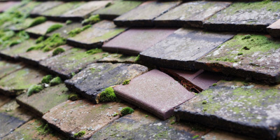 Peterstone Wentlooge roof repair costs